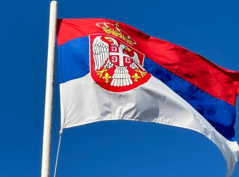 292795_србија-данзаставе-дипломатскапредставниства_ф.wебп