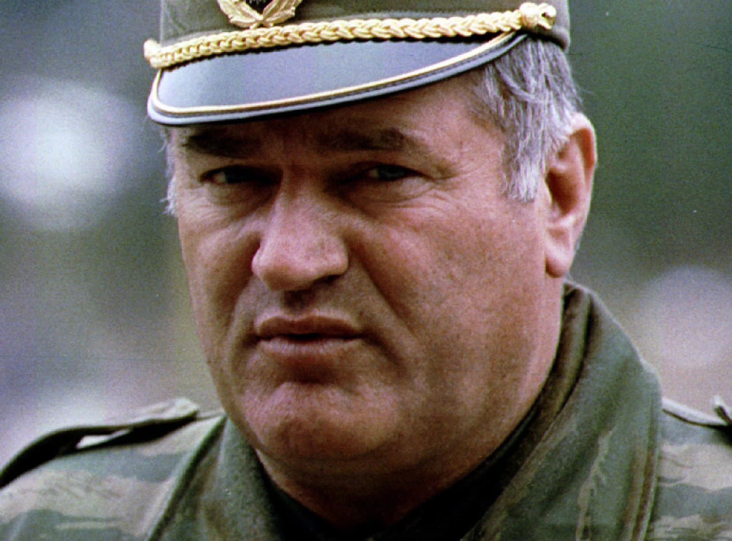 414604_схуттерстоцк-89780089_ф.wебп
