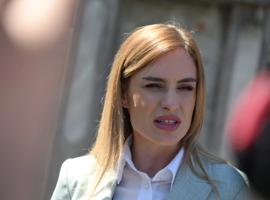 386269_dstamenkovski-harcenko-venci_f (1).webp