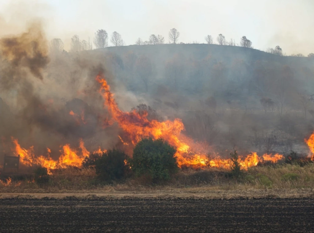 416228_shutterstock-2528218035_f.webp